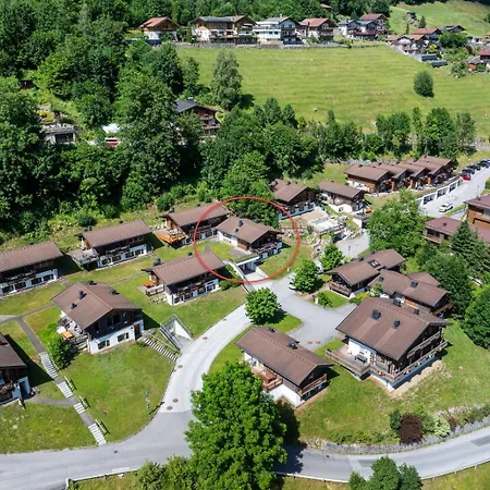 Schoeneben Scorleduyn Feriehus Wald im Pinzgau